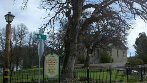 021015llsmblueoak1