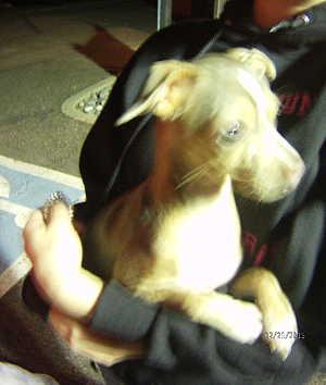 022115chipupmissing