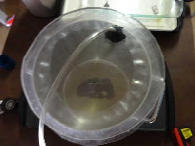 102214honeyoillab