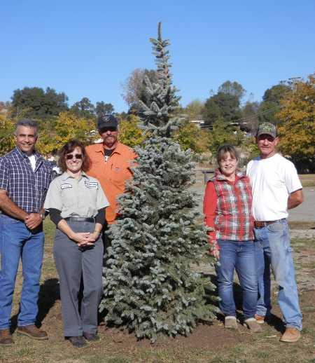 111014treeplantinggroup