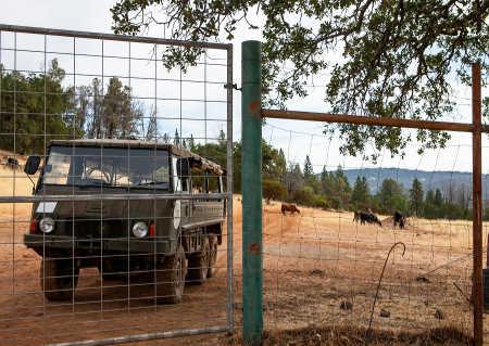 2014pinzgauer