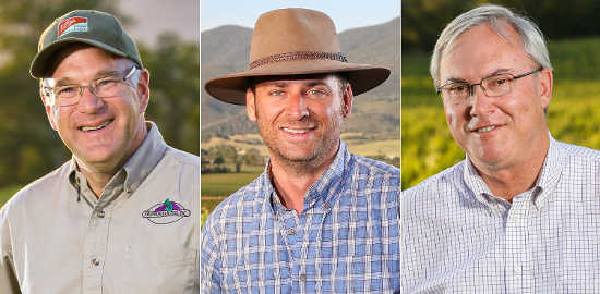2015winegrapenewboard