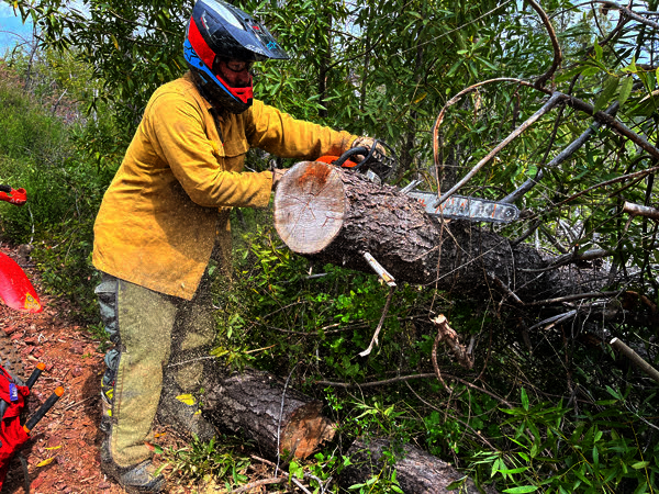 mnftrailwork1