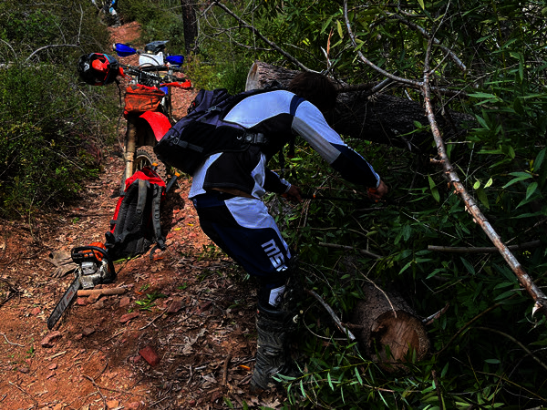 mnftrailwork2