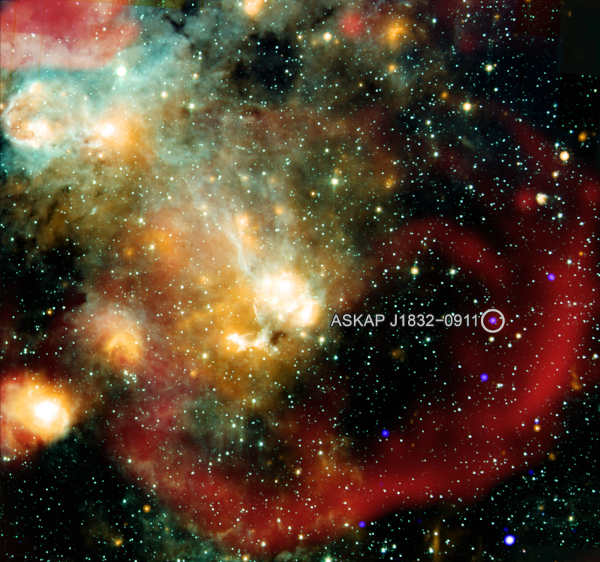 eccentricstar2
