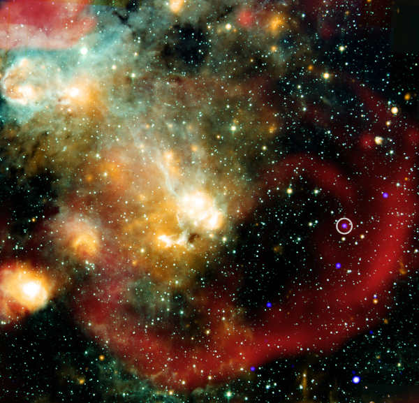 eccentricstar3