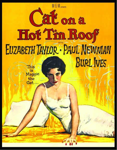 catonhottinroofposter