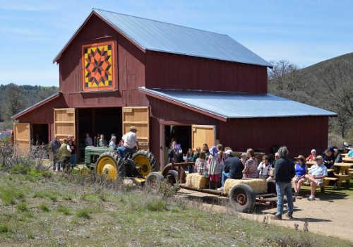 elybarnhayride