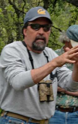 greggiusti
