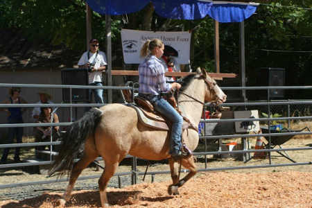 horsefairpen2