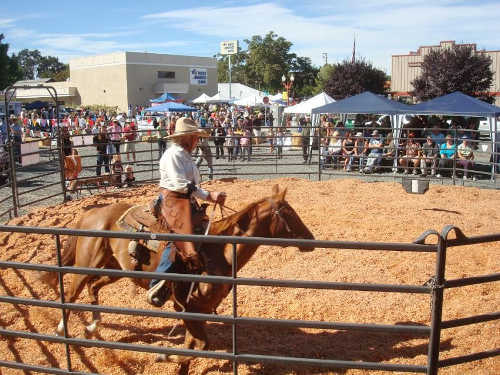 horsefairroundpen