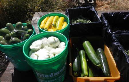hsscgardenbuckets