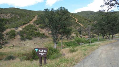 orrblueoakcamp
