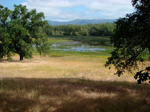 The Redbud Audubon Society will host a field trip to the Rodman Preserve in Lake County, Calif., on Saturday, September 20, 2014. Courtesy photo. rodmanpreserve