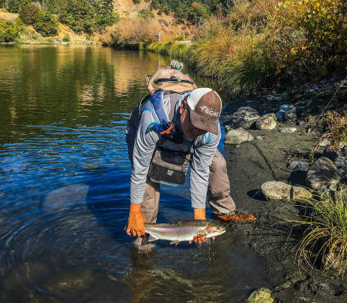 Steelhead fishing. Photo courtesy of Ken Oda. steelheadfishing
