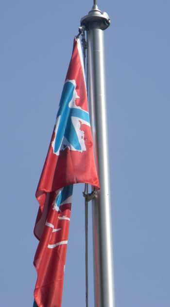 april2011missingchildflag