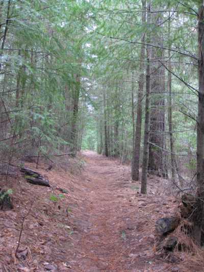 hobergtrailloopboggs