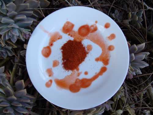Surrounding the mound of dried cayenne pepper are some spicy sauces made with this hot chili pepper. Photo by Esther Oertel. 021212veggiegirlcayenne