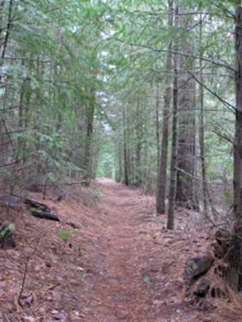 boggstrail
