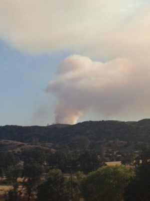 070712lettsfire415woodland