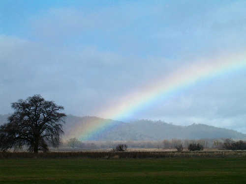 amiarainbow