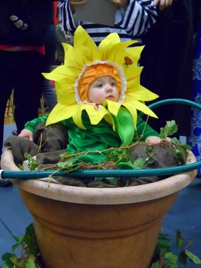 sunflowerbaby