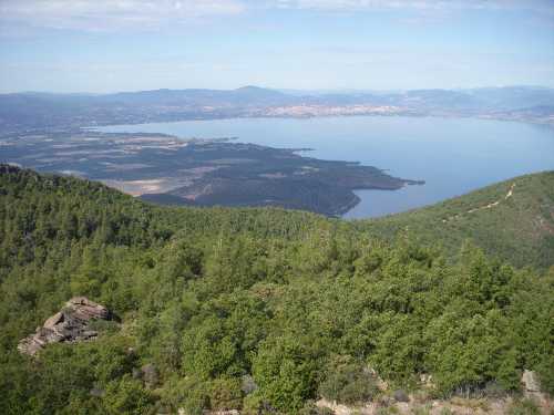 october2010mtkonocti
