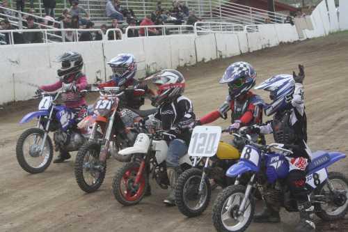 040613peeweeracers