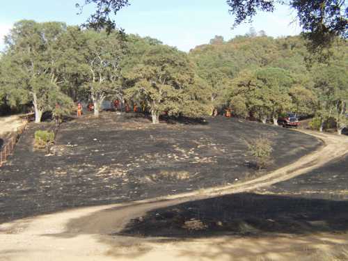 082413sulphurfirehandcrews