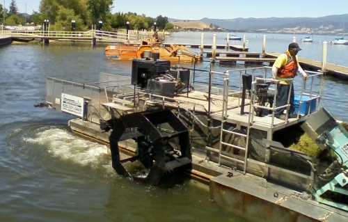 061313weedharvester