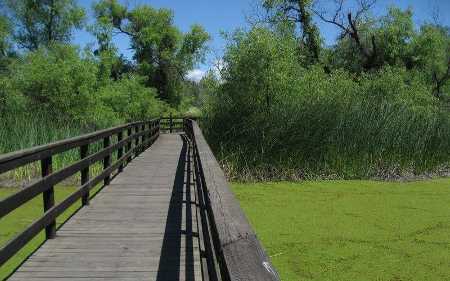 andersonmarshbridge