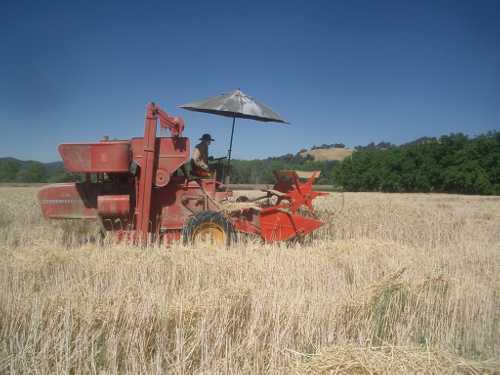 coopwheatharvest