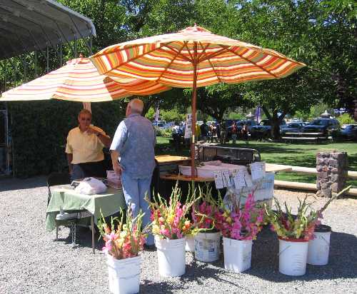 farmersmarkets