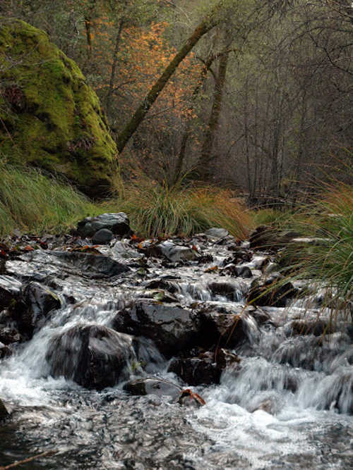 berryessabartlettcreek