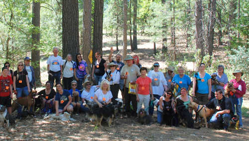 050413dogsatboggs