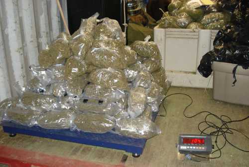 102813potweighed