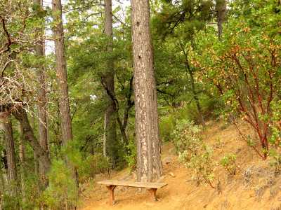 boggstrailbench