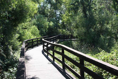 andersonmarshboardwalk