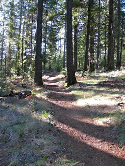boggstrail
