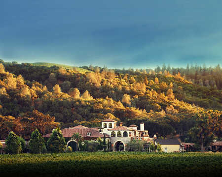 brassfieldwinerypic