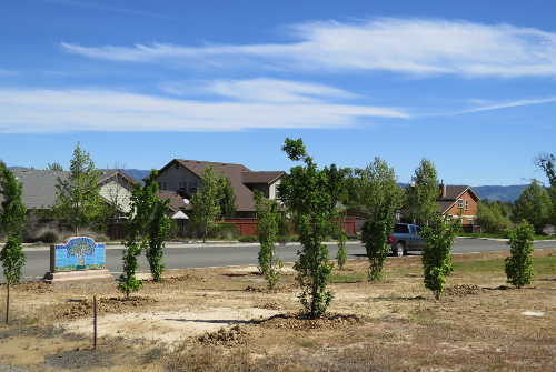 041616westsidegrove