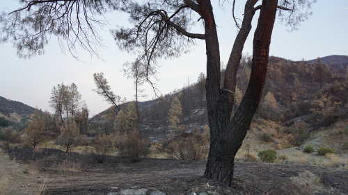 081515rockyfirearea