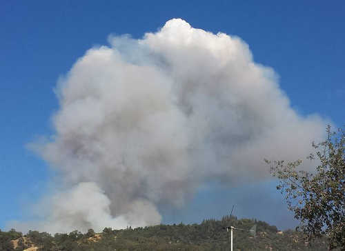090215ulfirevaldez