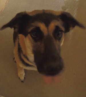14gsdfemale