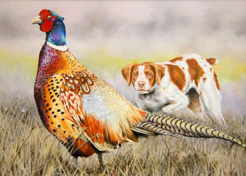 2015uplandgamebirdbaer