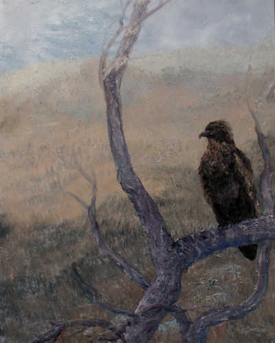 fransonwatchful