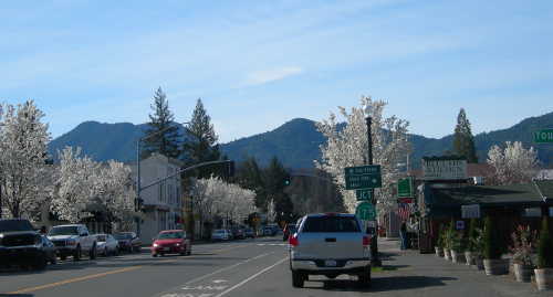 scavonemiddletown