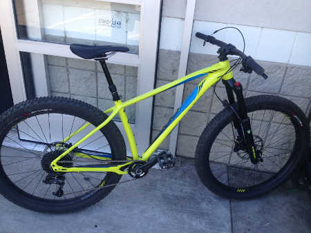 072816specializedbiketheft