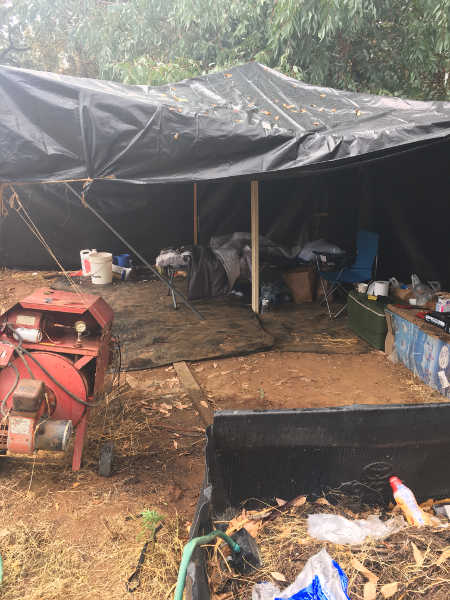 101416lpdgrowjunk
