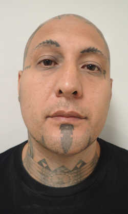 Octavio Raul Martinez, 36, of Upper Lake, Calif., was arrested on Sunday, October 30, 2016, in Lakeport, Calif., on felonies including being a felon in possession of a firearm, possession of a loaded and concealed firearm by a known suspected criminal street gang member and possession of an unregistered firearm along with ammunition. Lake County Jail photo. 103916martinezmug